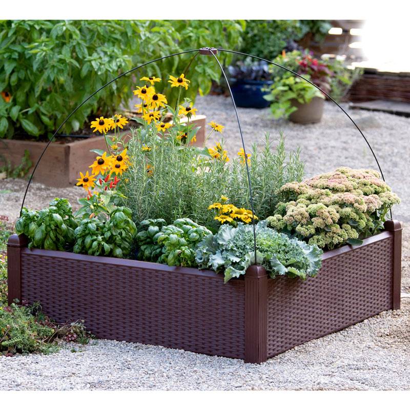 Raised Garden Bed Planter Box Gardening Flowers Vegetables Seeds