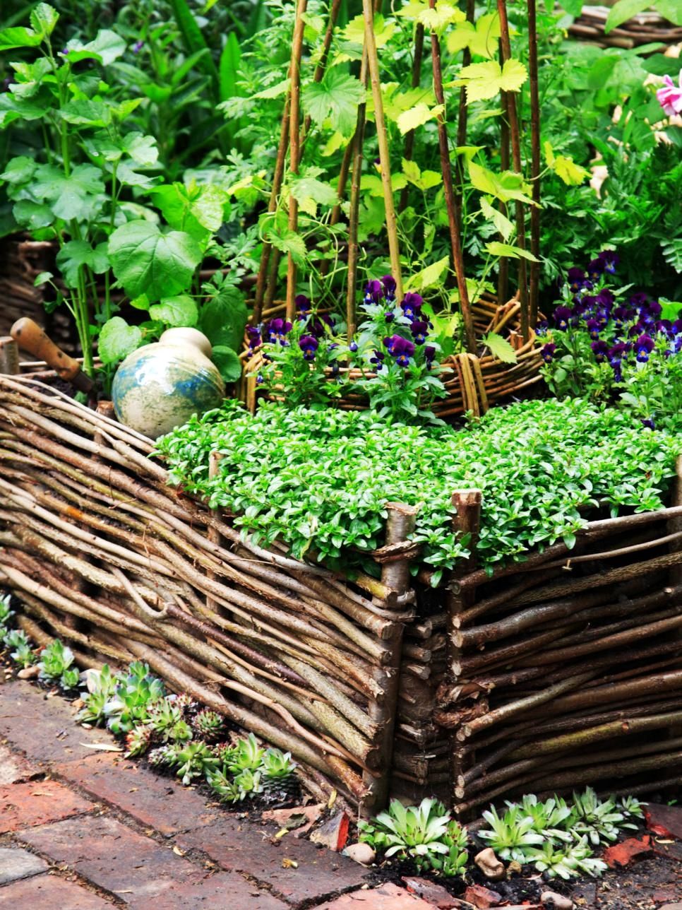 Vegetable Garden Raised Patio Backyard Guide
