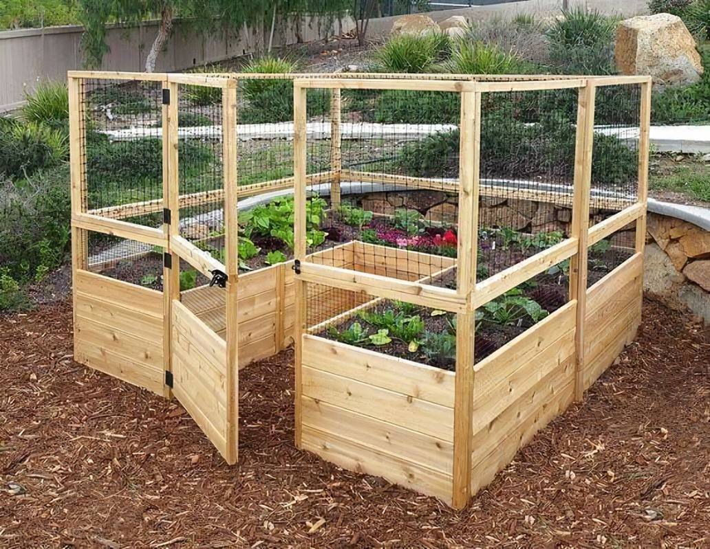 A Raised Enclosed Garden Bed