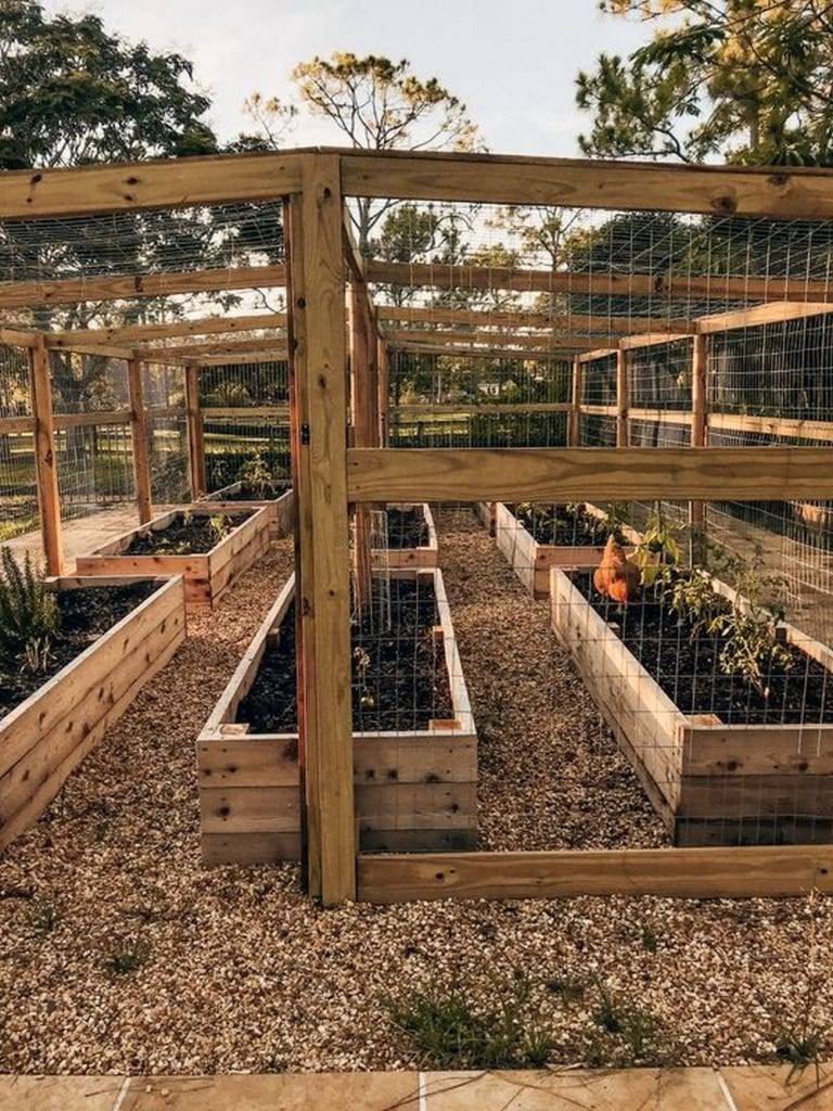 Raised Garden Beds