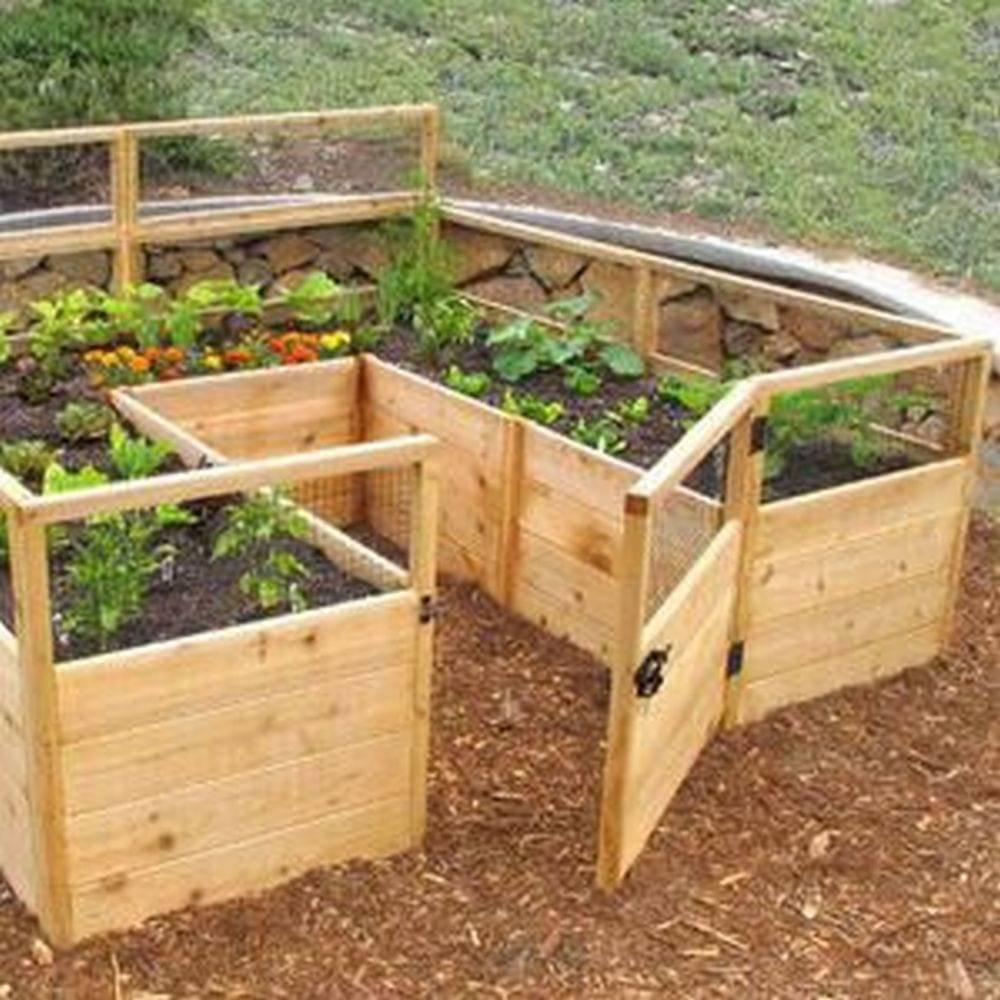 Raised Bed Garden Enclosure Backyard Project Inspiration