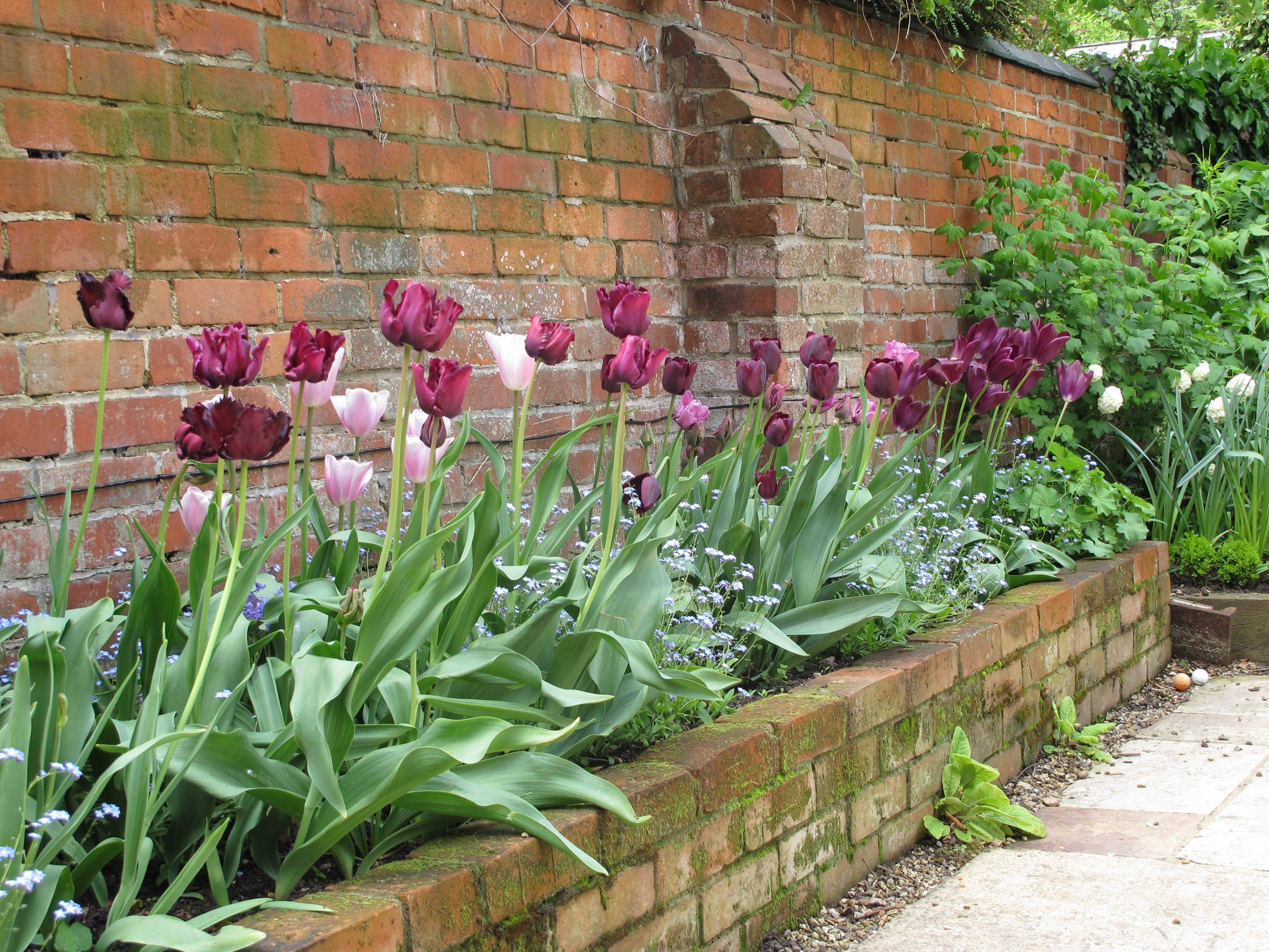 Raised Bed Garden Design Ideas Raised Bed Garden Design Cottage