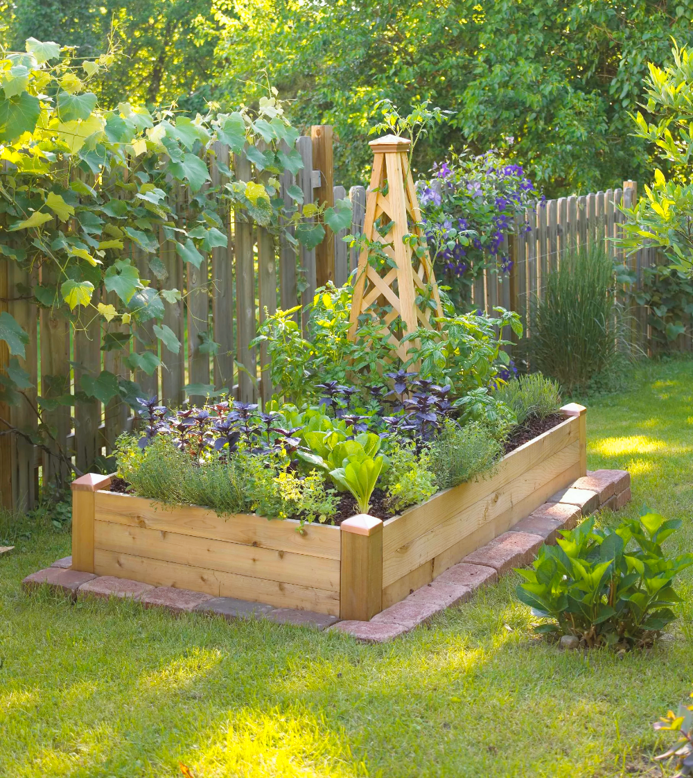 Shade Garden