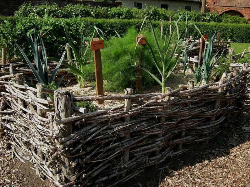 A Beautiful Raised Bed Vegetable Garden