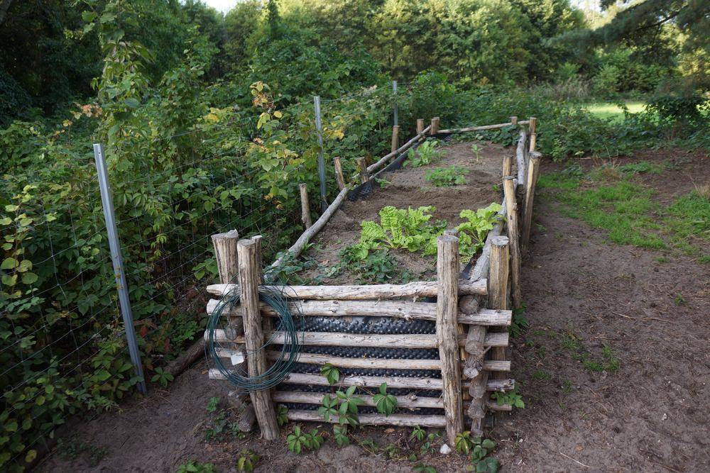Diy Garden Bed Edging Ideas Ready