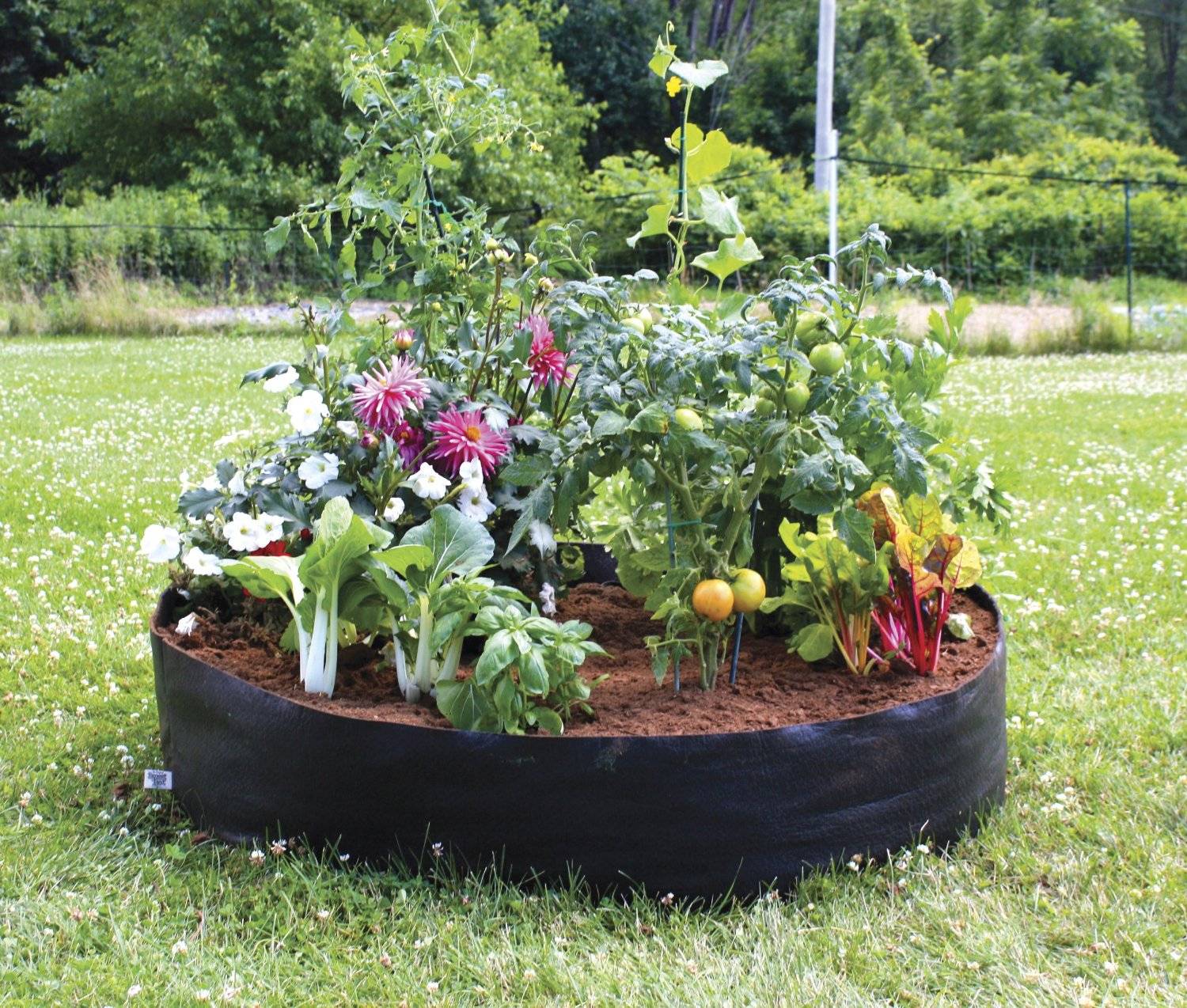 Beautiful Raised Flower Bed Stone Border