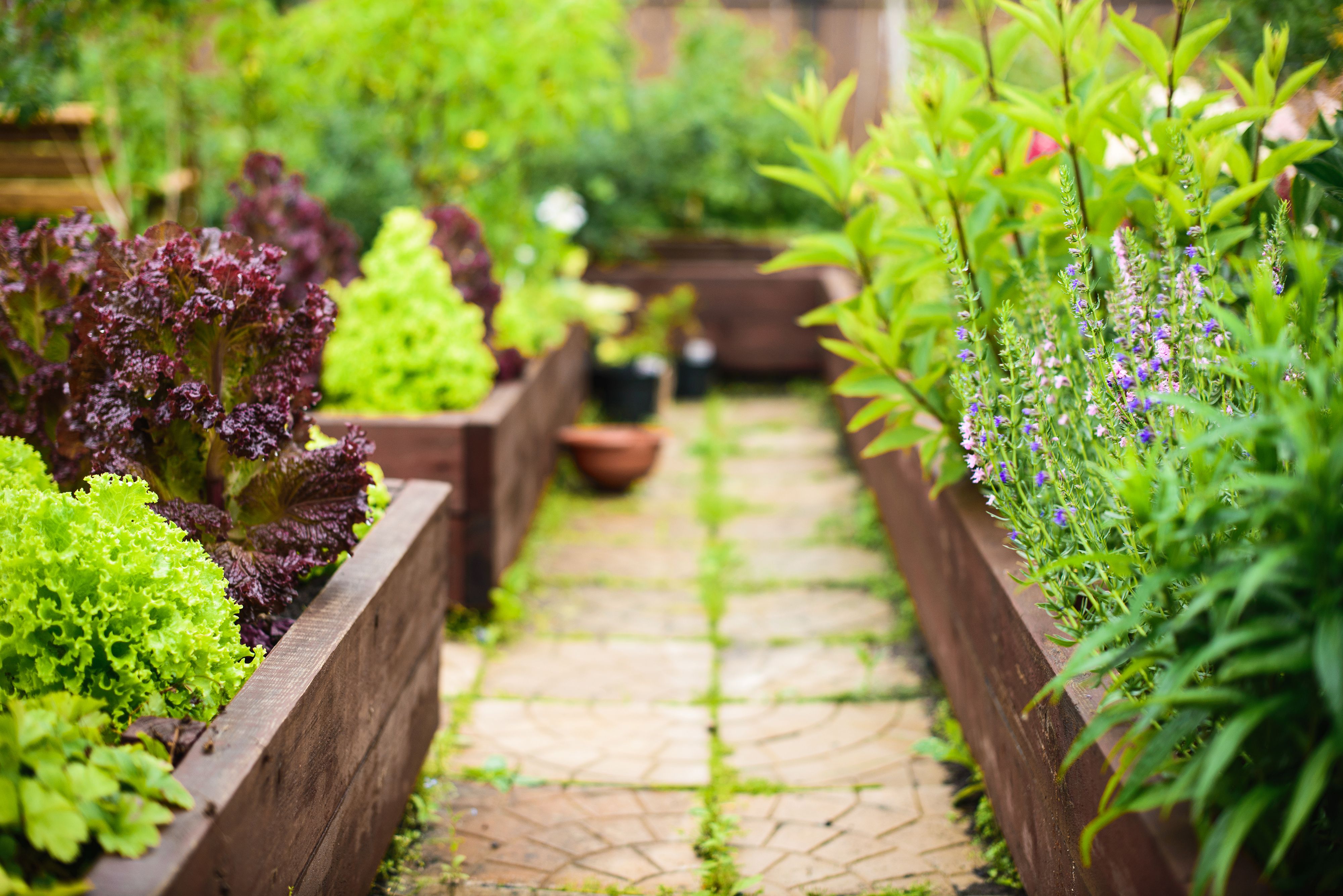 Garden Retaining Wall