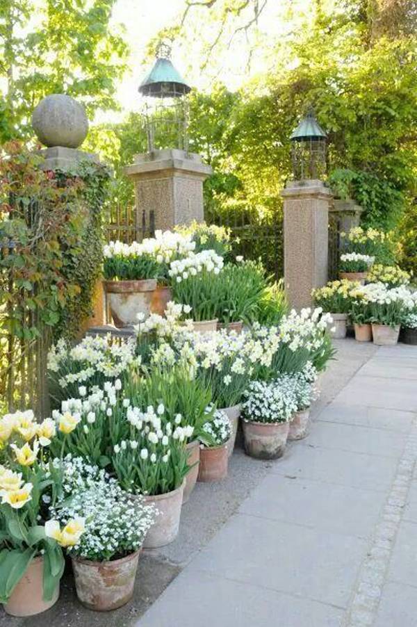 Beautiful Garden Fence Ideas