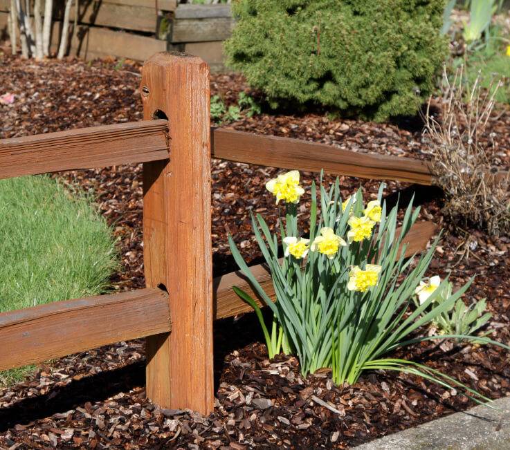 Best Garden Fence Ideas