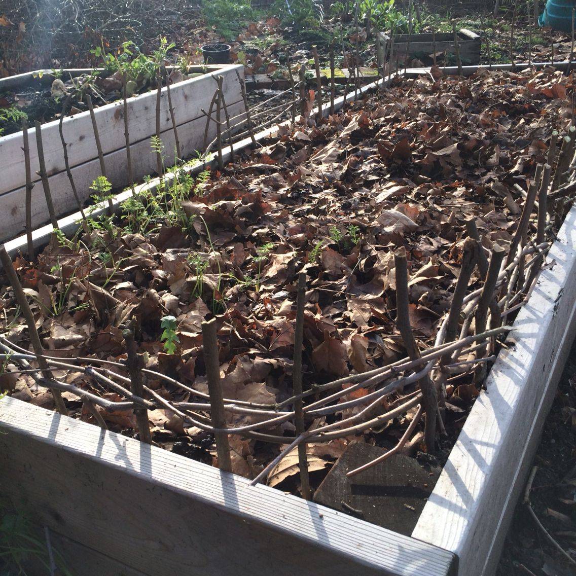 18 Twigs Raised Garden Bed Ideas Worth to Check SharonSable