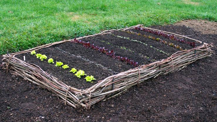 Raised Wooden Garden Bed Designs
