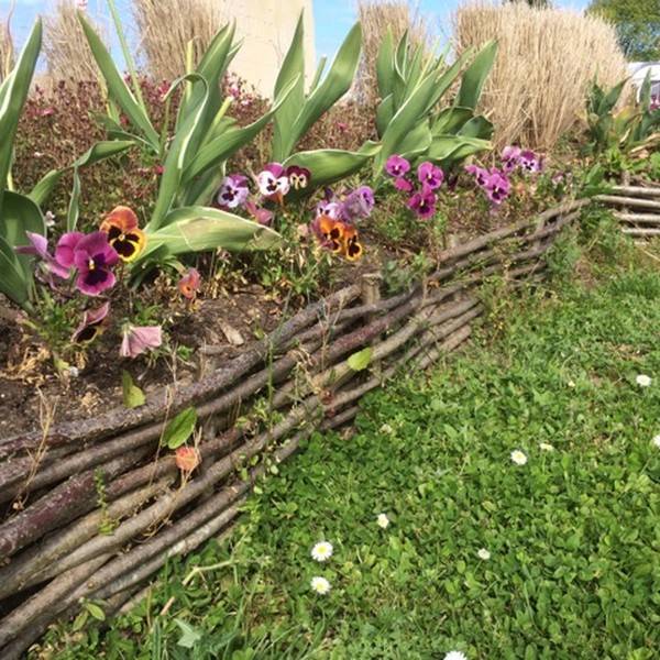 This Raised Bed Garden