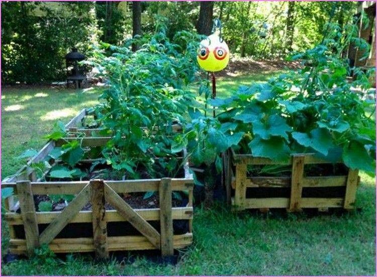 Raised Garden Bed Fence