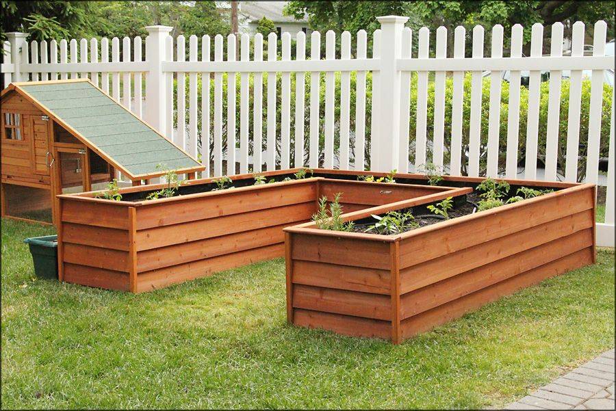 Inexpensive Raised Bed Ideas