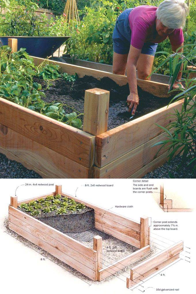 Raised Garden Beds