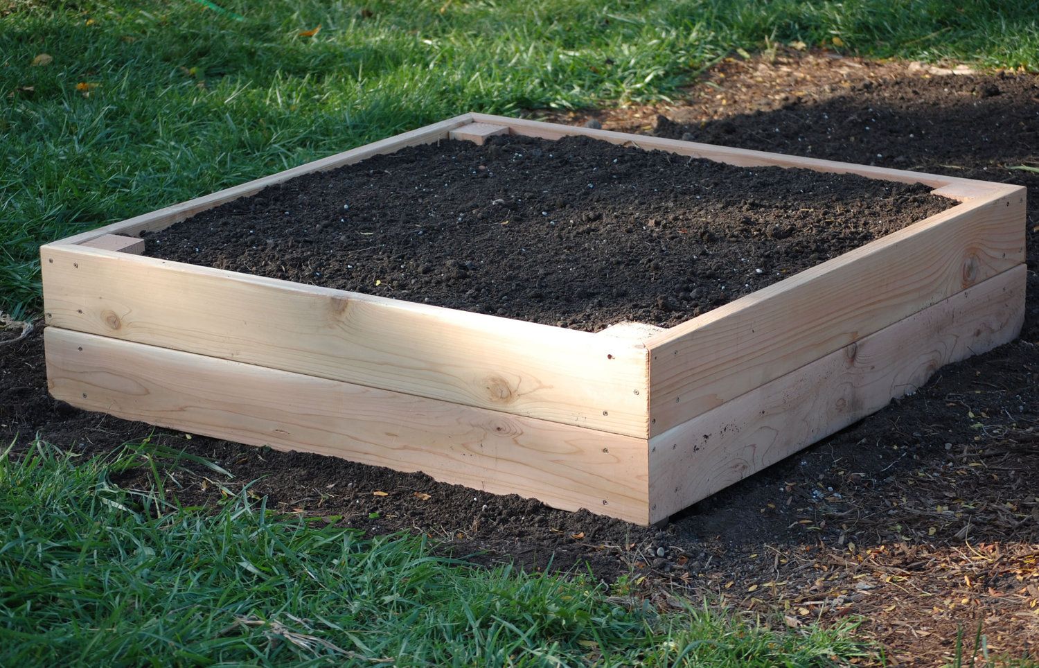 The Vegetable Garden