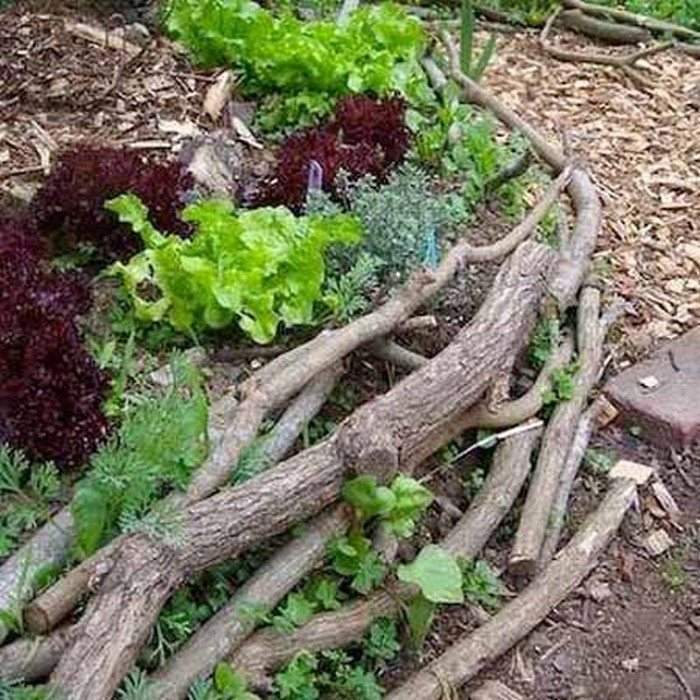 More Garden Edging