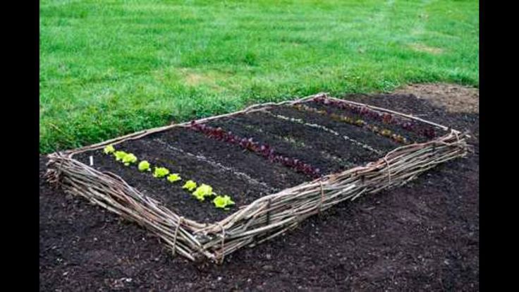 Our Raised Bed Garden Diy Trellis Emily A Clark