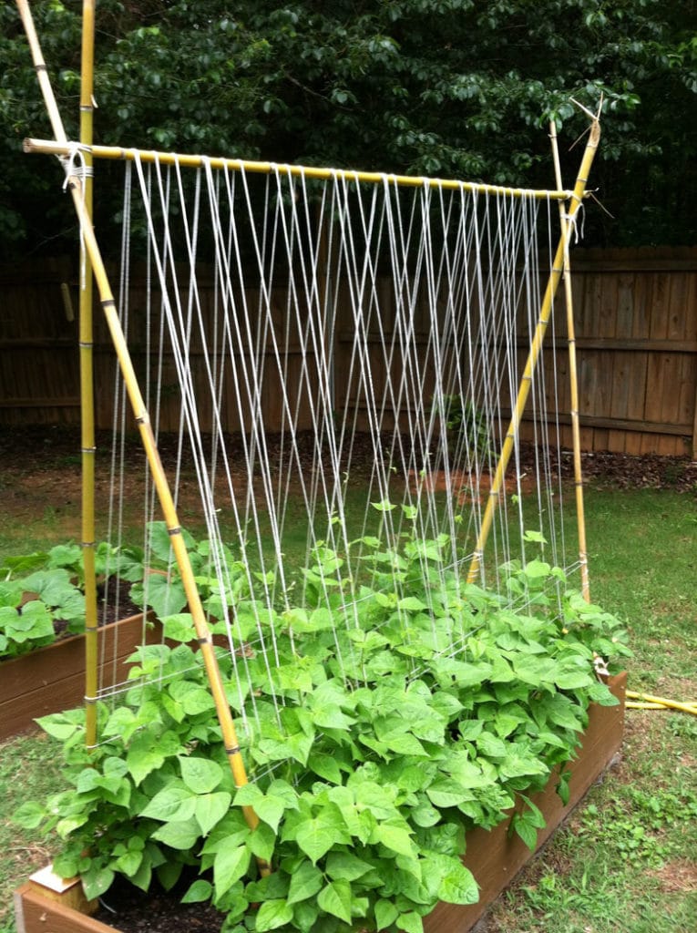 Raised Garden Beds Ideas