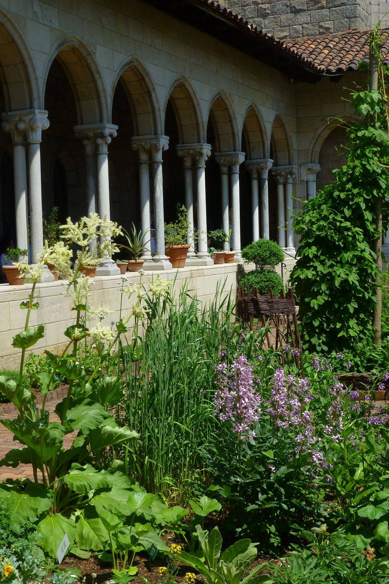 Medieval Garden Inspiration