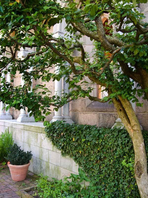 The Cloisters Old House Restoration