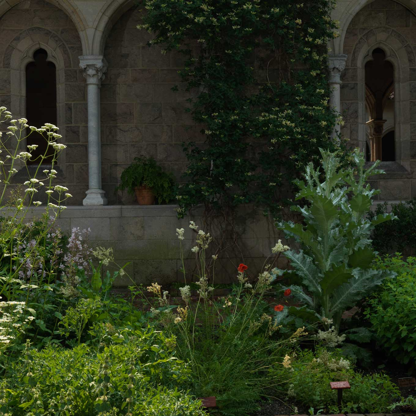 A Medieval Garden