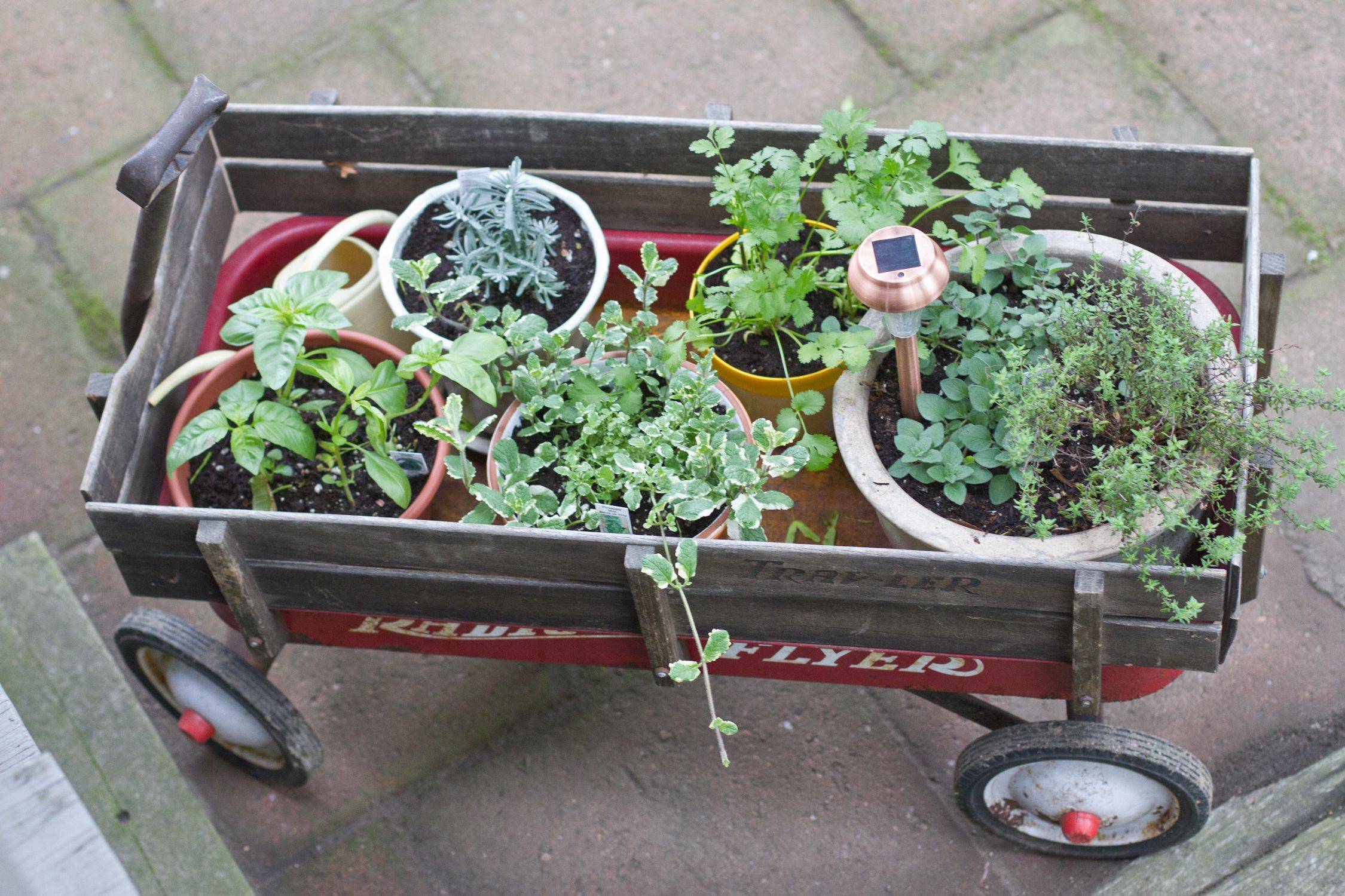 A Simple Formal Herb Garden