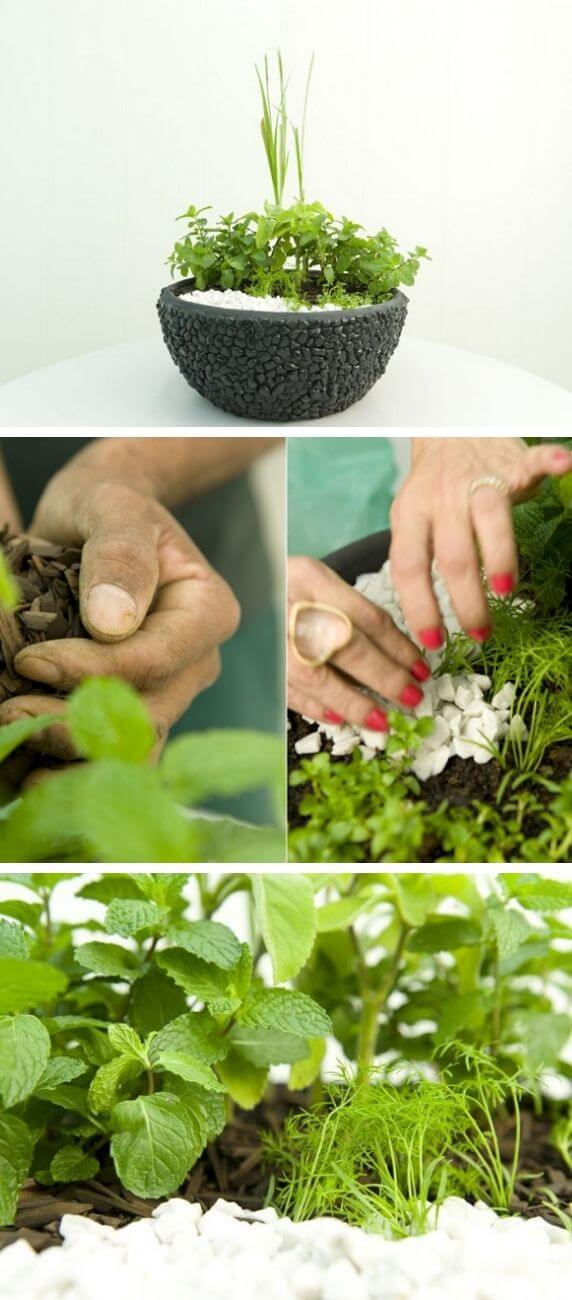 Herb Garden Ideas