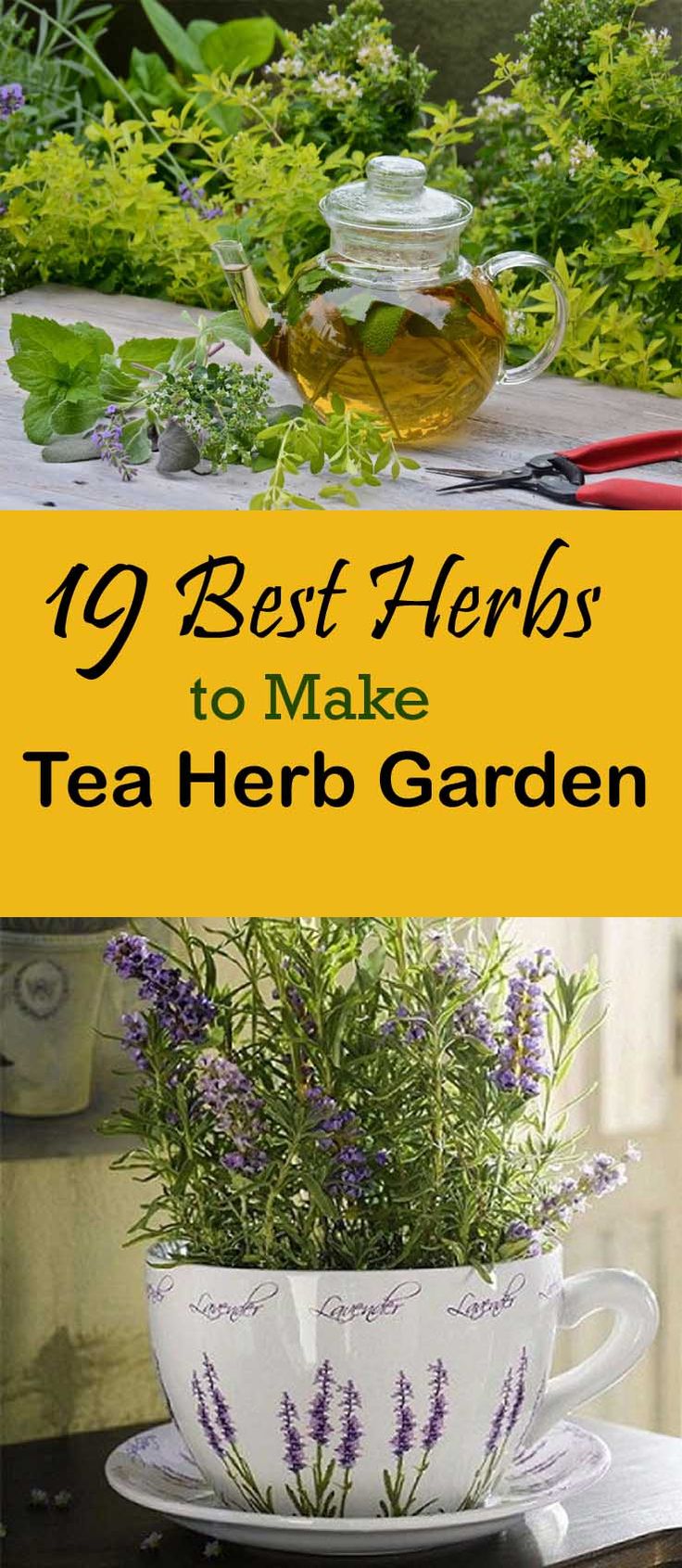 A Herbal Tea Garden Dainty Dress Diaries
