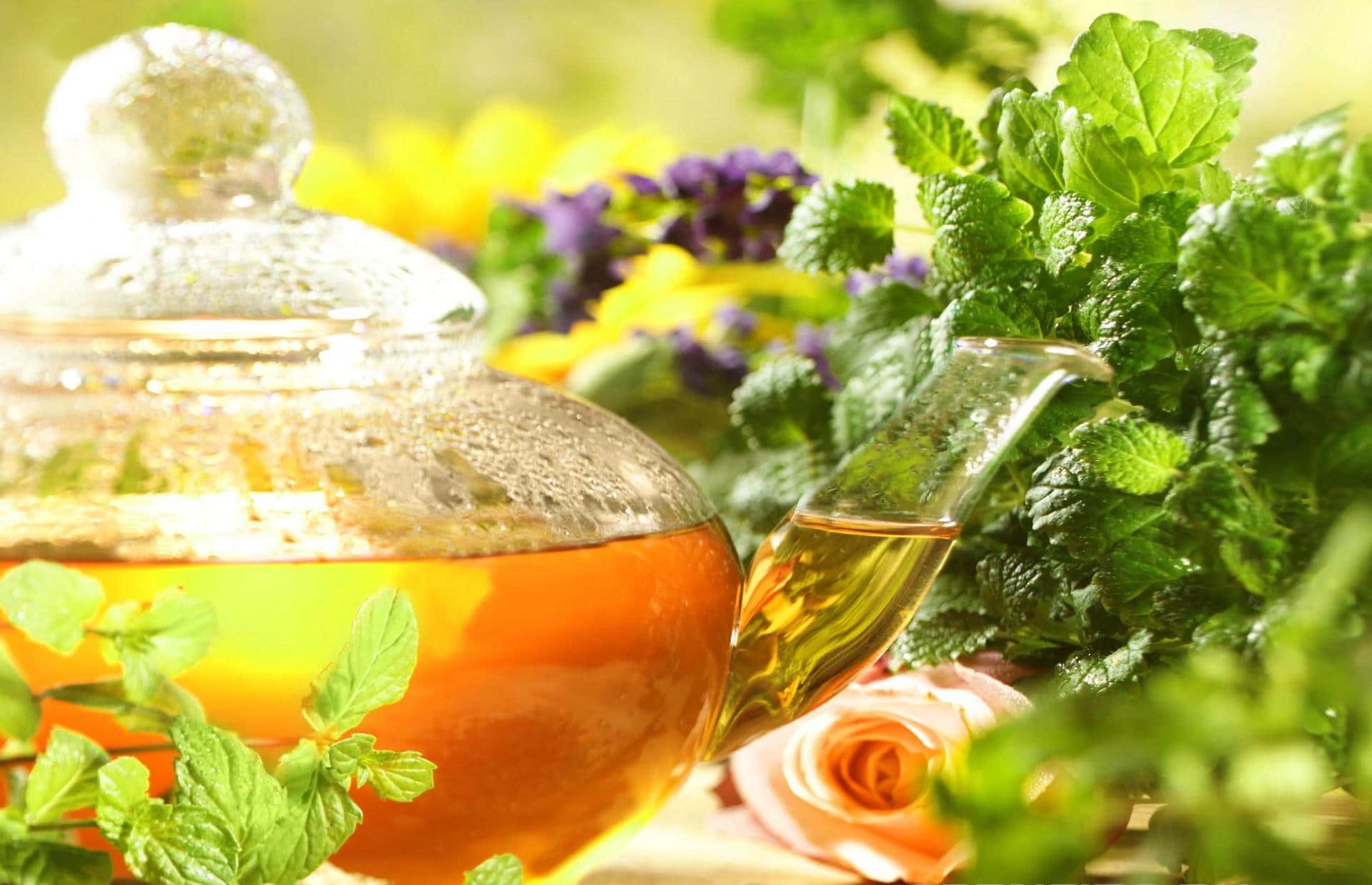 A Herbal Tea Garden Dainty Dress Diaries