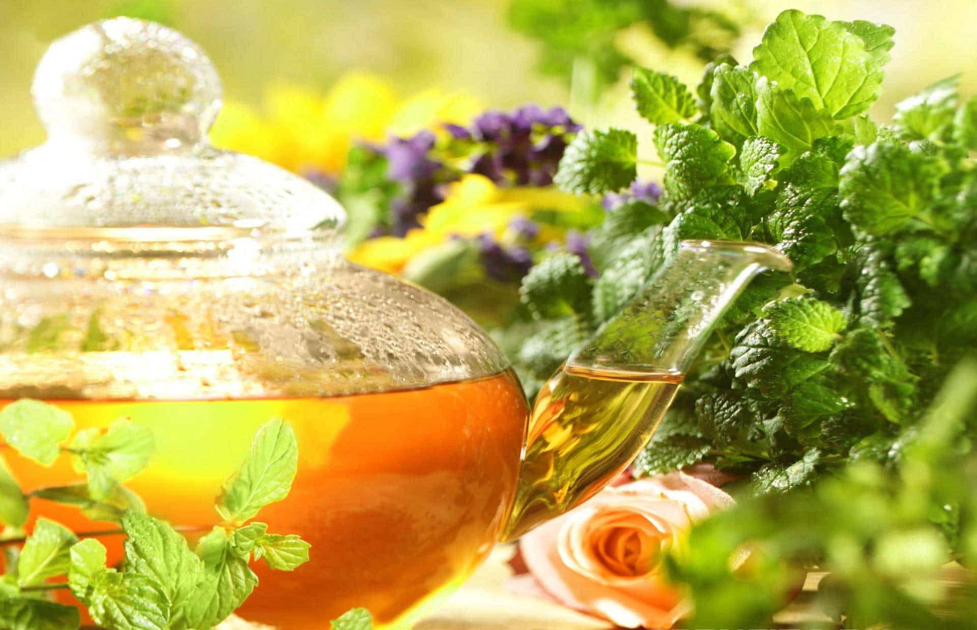 21 Herbal Tea Garden Ideas For This Year SharonSable