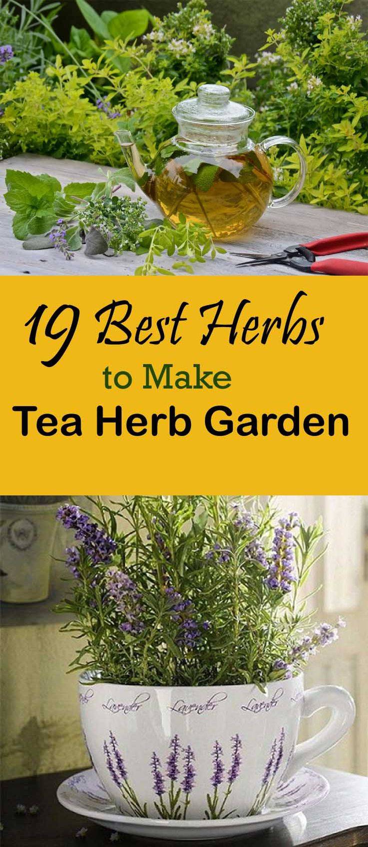 21 Herbal Tea Garden Ideas For This Year SharonSable