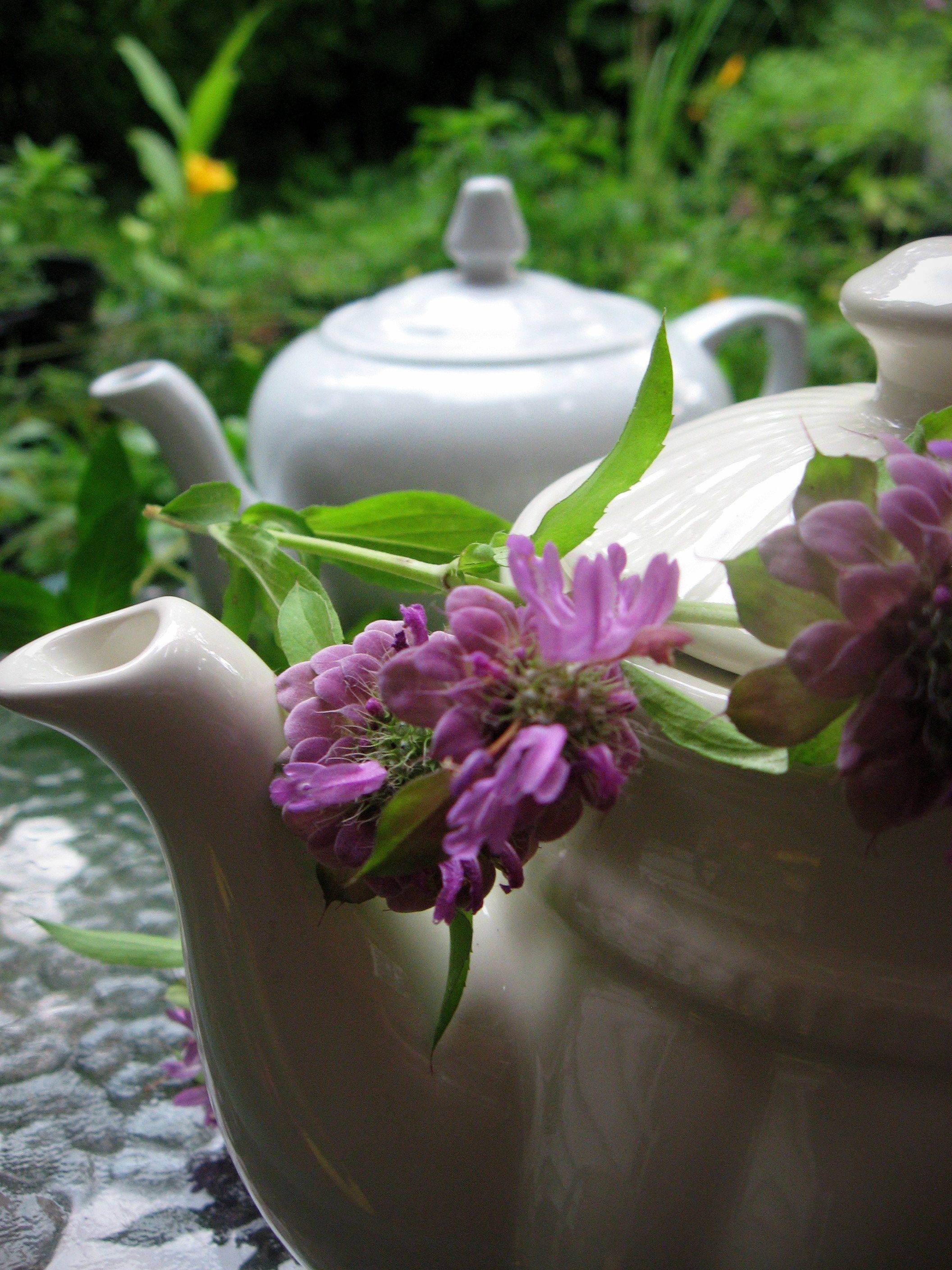 A Herbal Tea Garden Dainty Dress Diaries