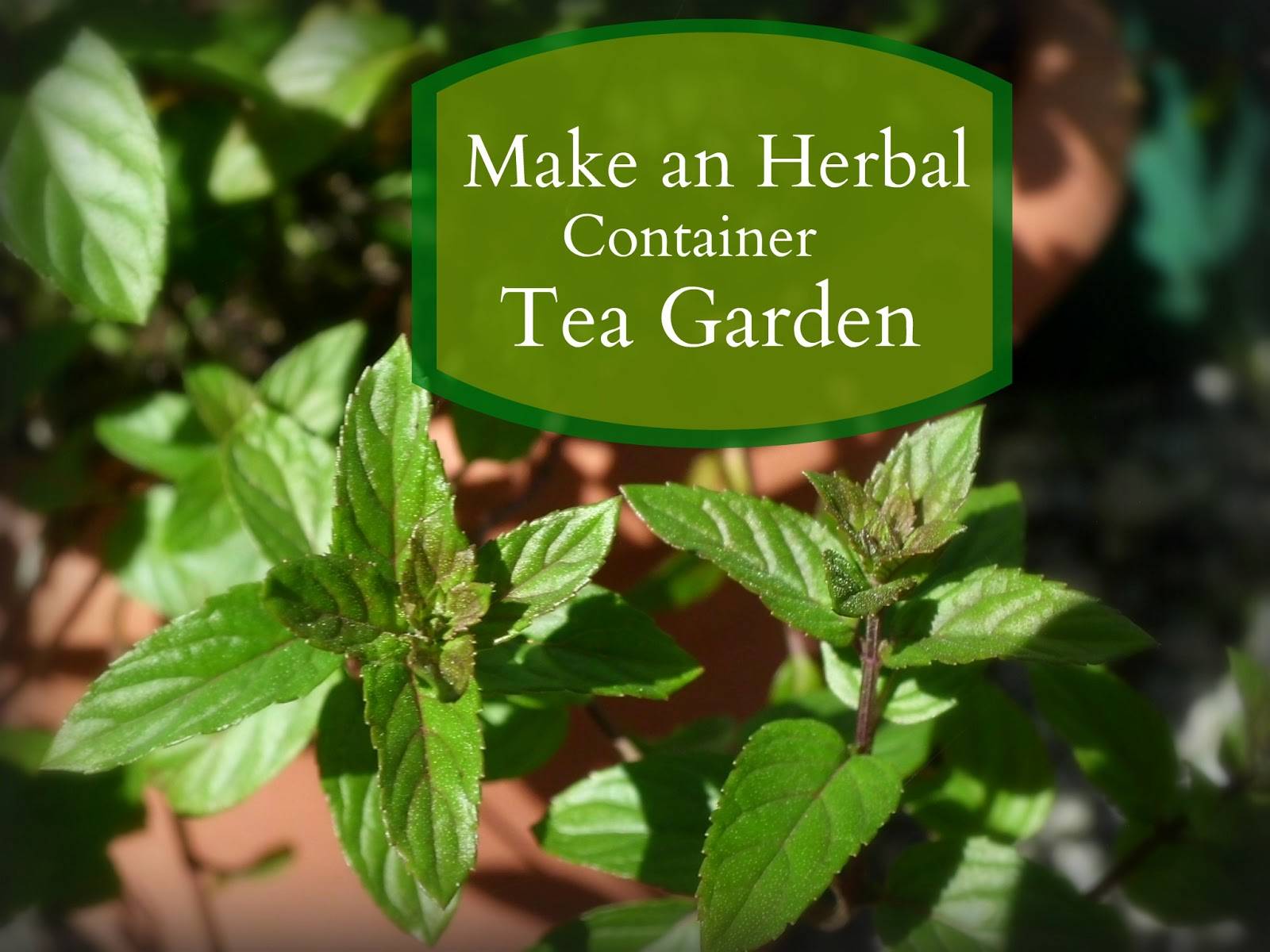 Hacks Small Garden Projects