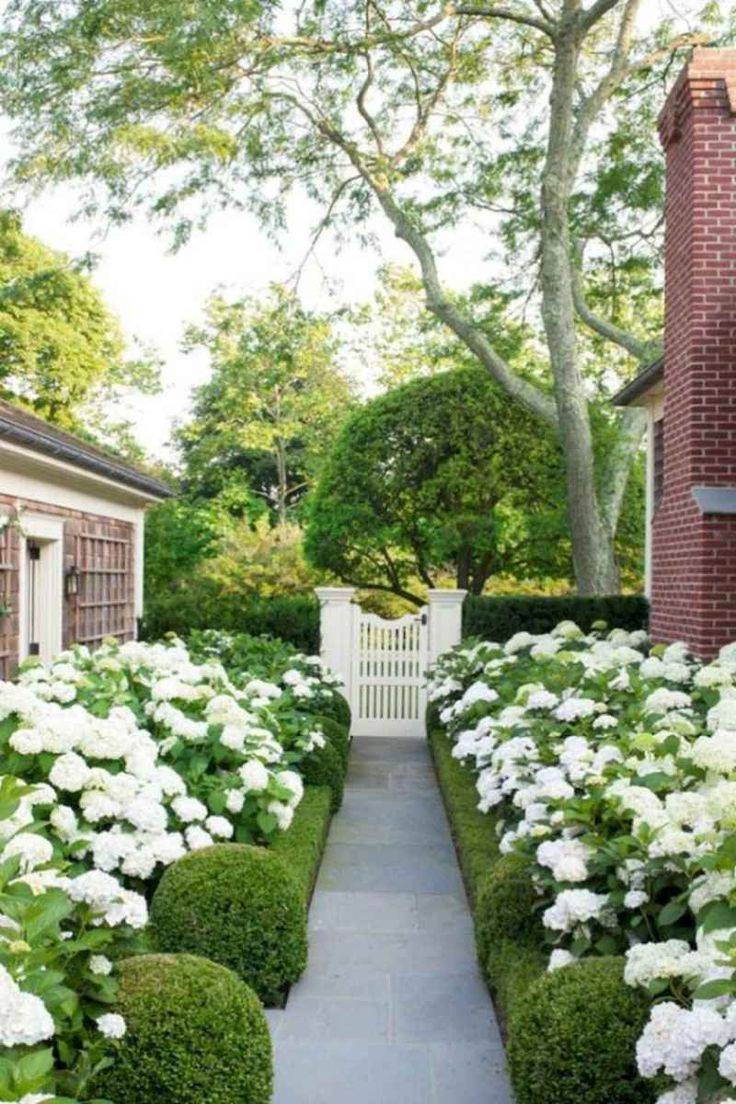 Beautiful Backyard Garden Path