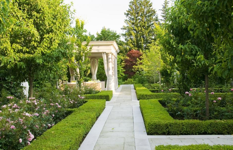 Skedazzlescom Garden Hedges