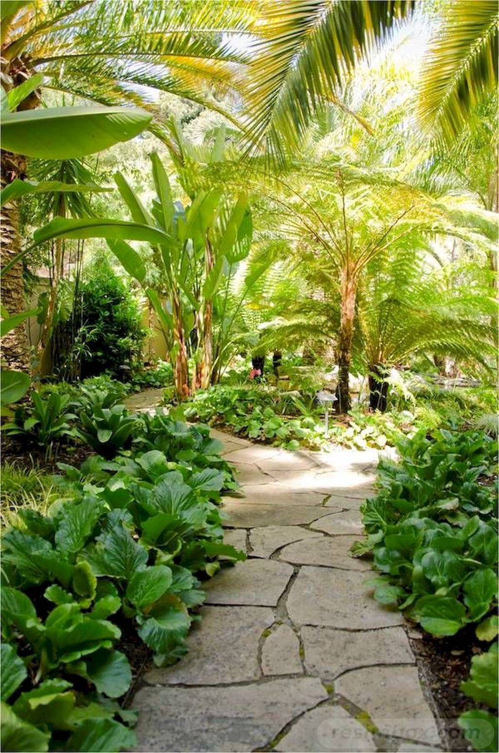 A Tropicalthemed Garden