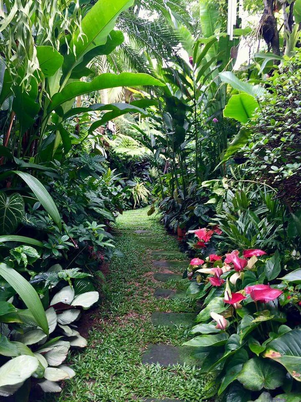 Amazing And Beautiful Tropical Garden Ideas