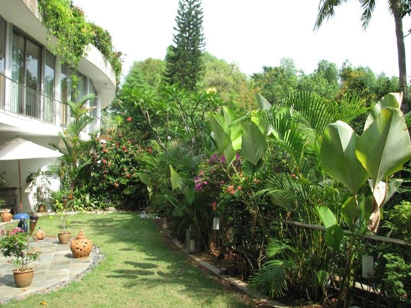 A Tropicalthemed Garden