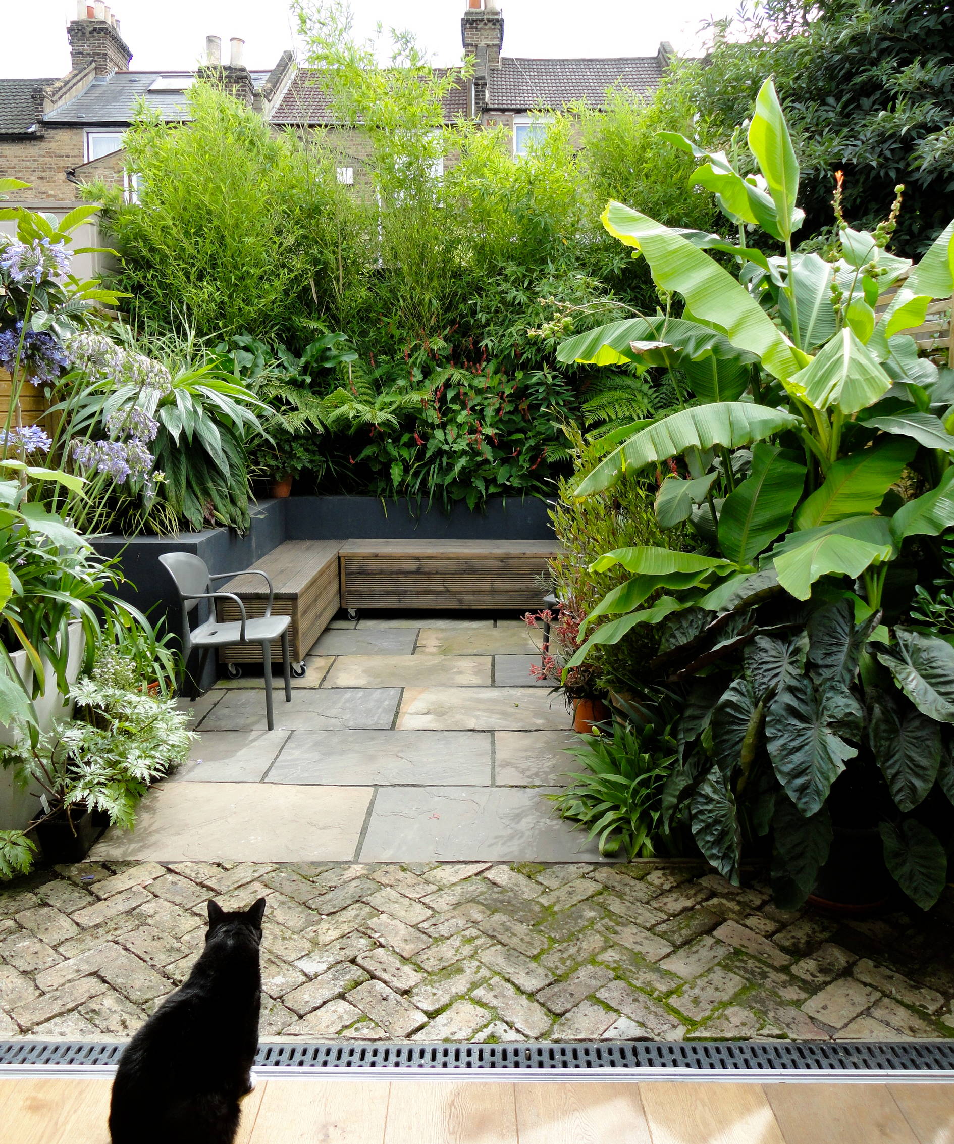 Pin By B On Gardens Outdoors Small Tropical Gardens Tropical