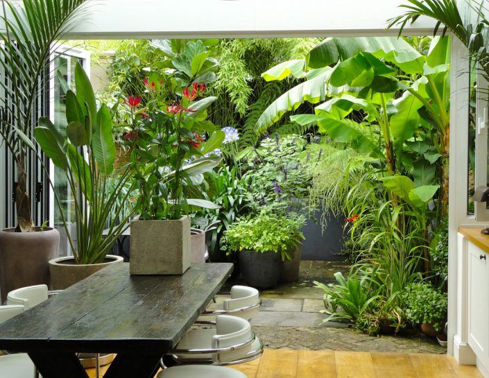 Tropical Makeover