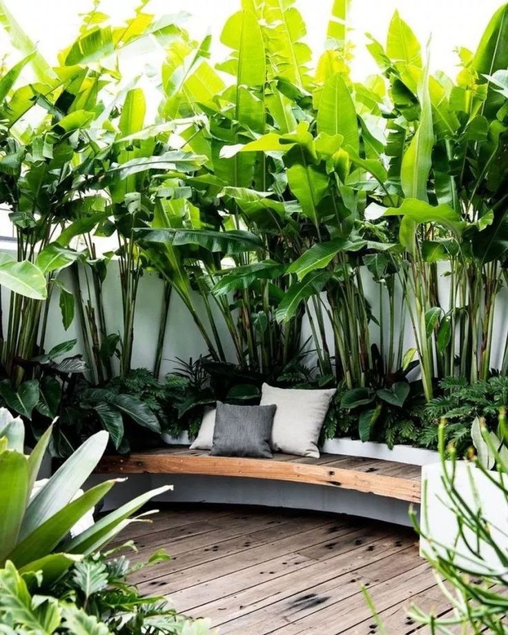 Top Tropical Backyard Garden Ideas Stylendesigns Tropical Backyard