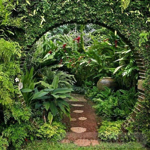 Tropical Garden Design Ideas