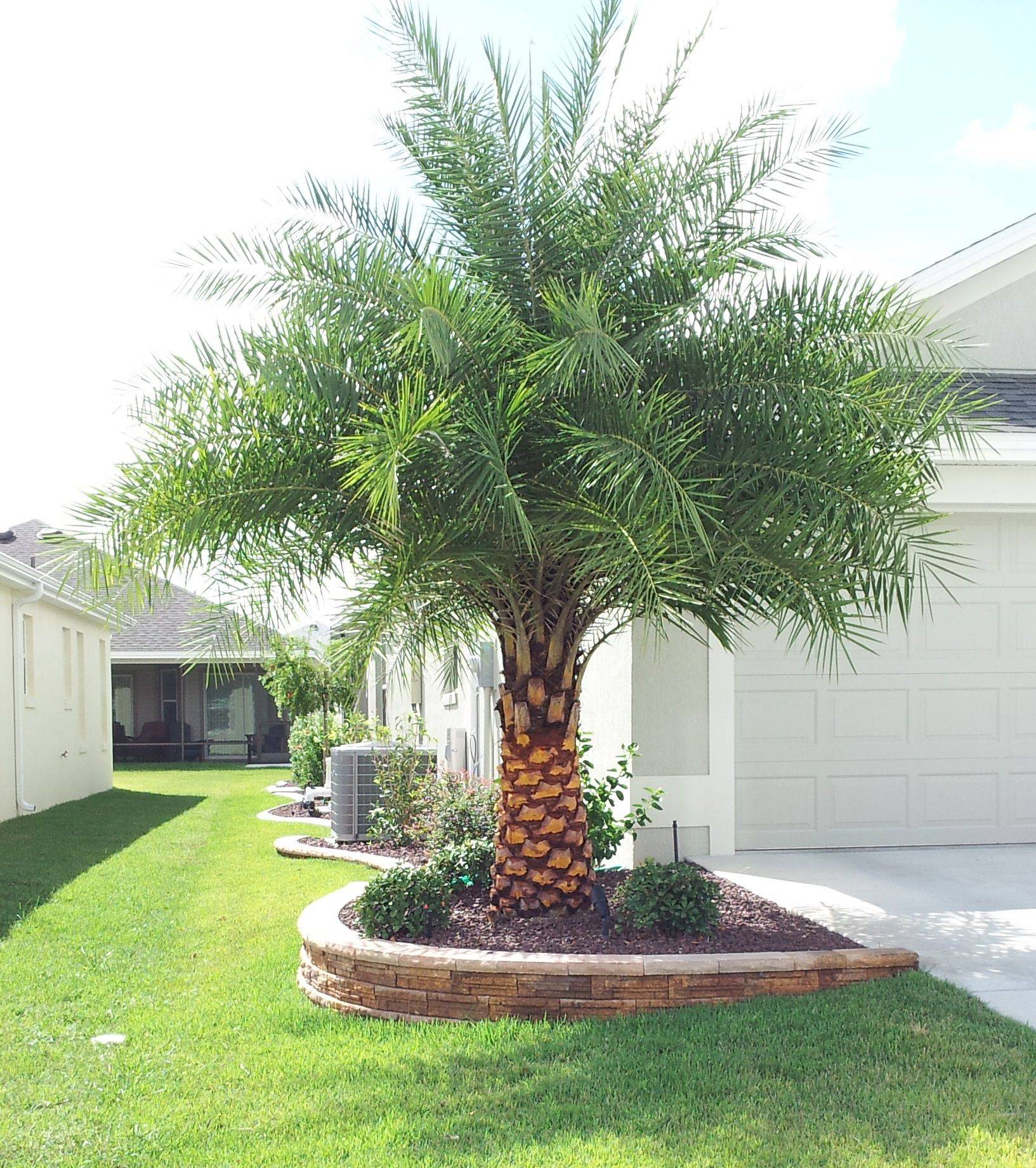 Perfect Tropical Landscaping Ideas