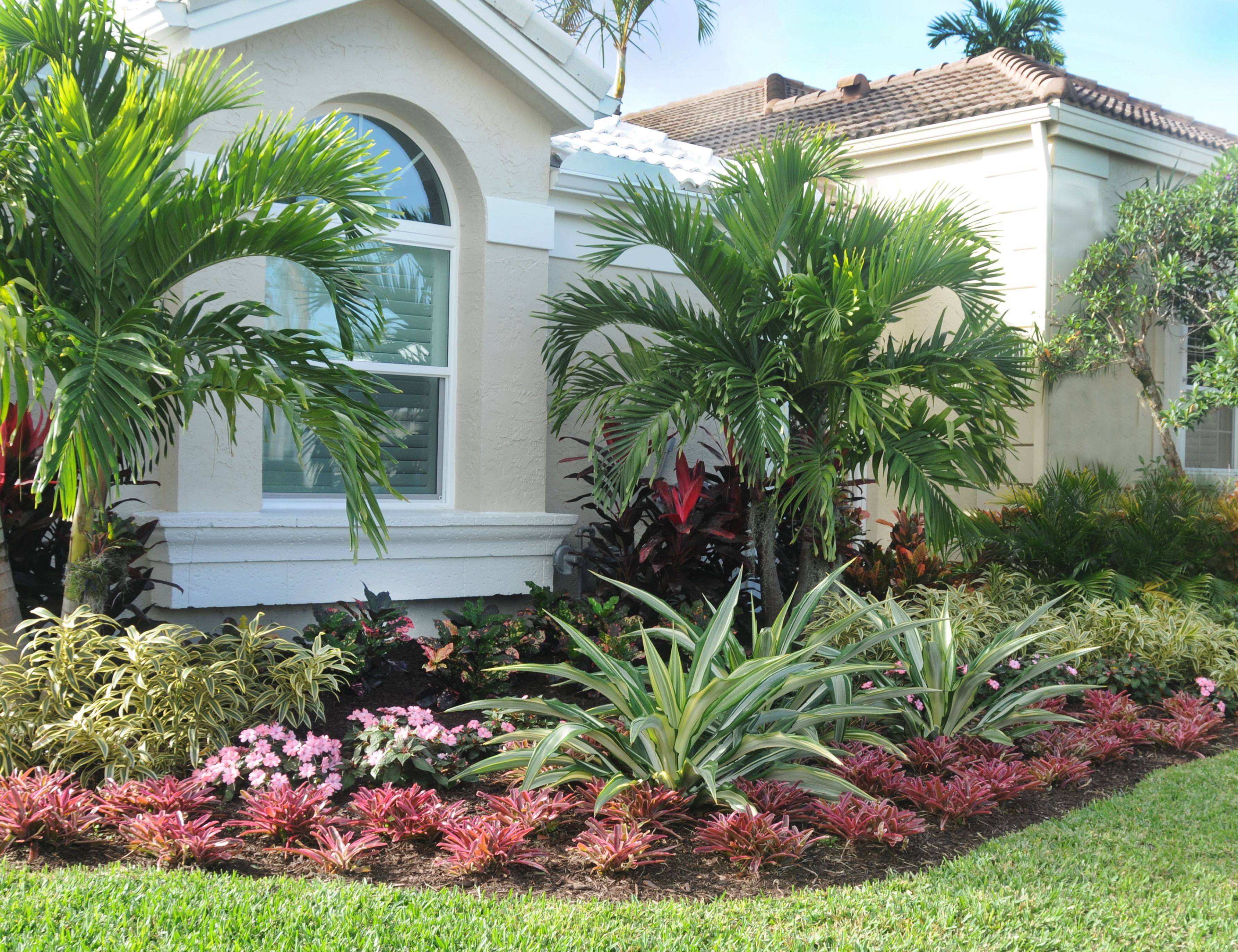 Beautiful Palm Tree Front Yard Landscaping Pictures