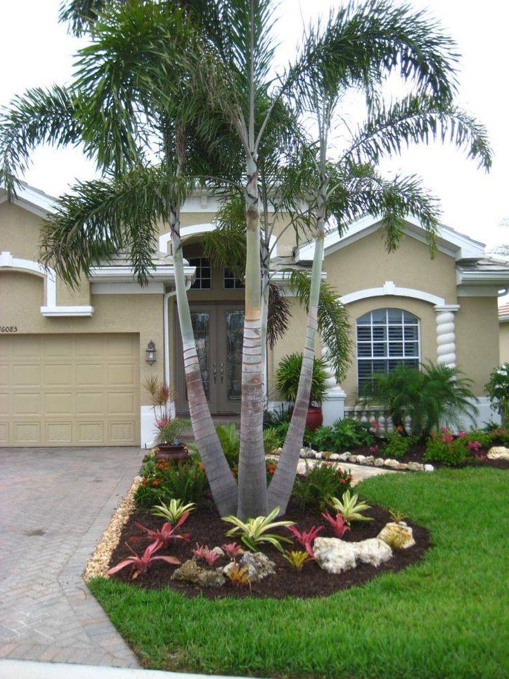 Palm Trees