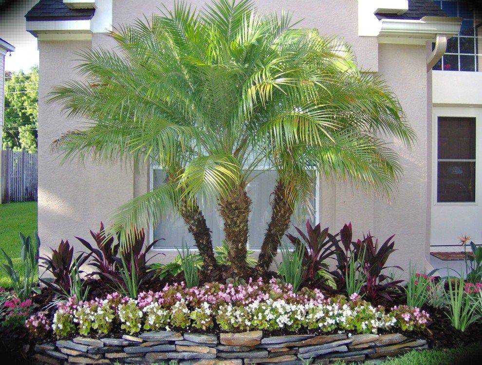 Landscapingbackyard Tropical Backyard