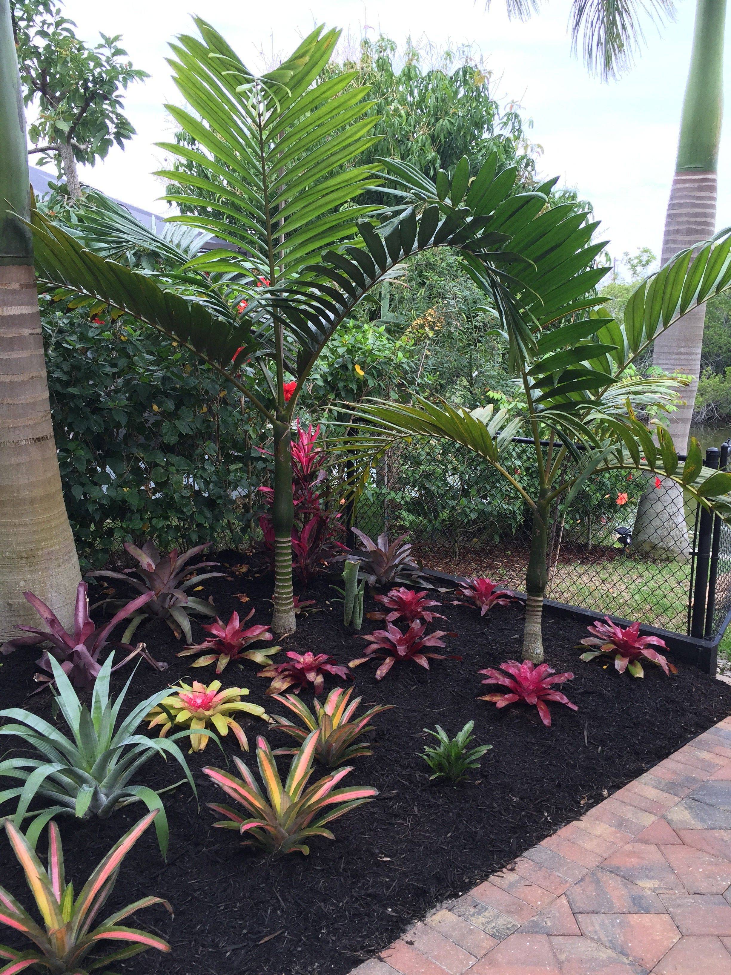 Frontyard Landscaping