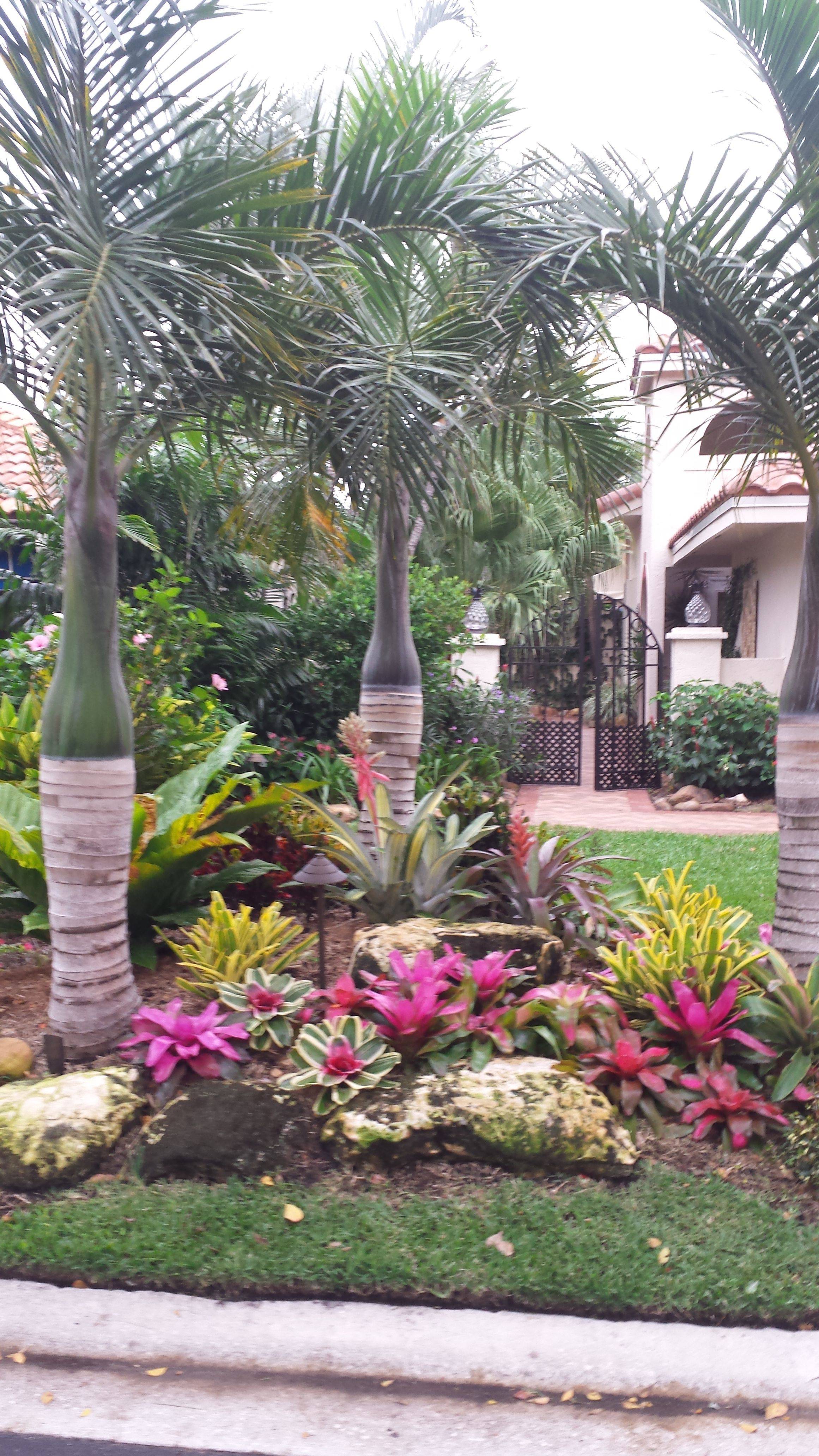 Bromeliad Gardening