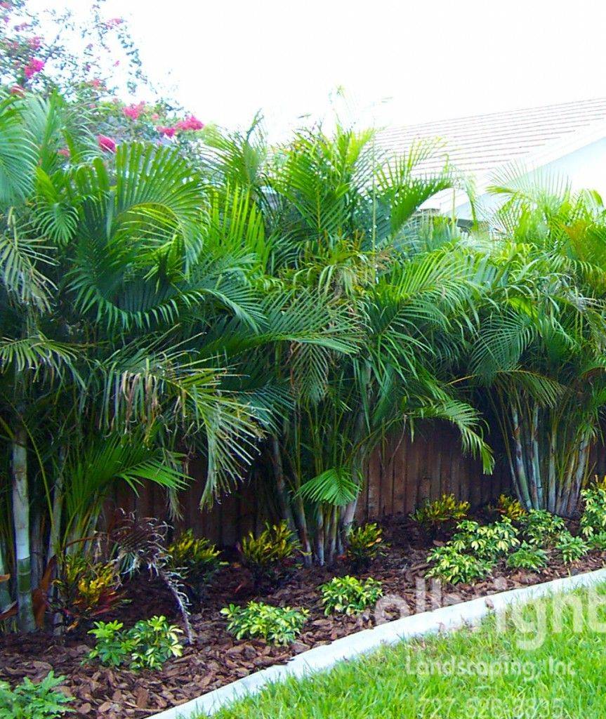 Garden Inspiration